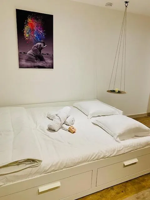 L'Oasis Apartment Viriat