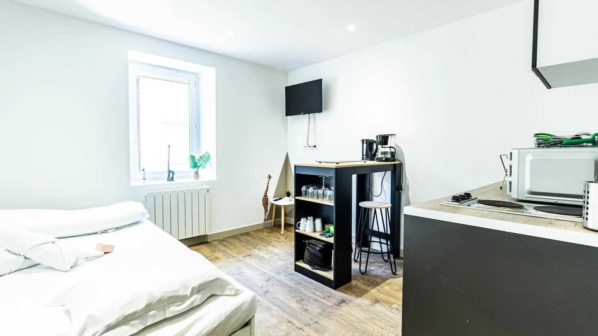 L'Oasis Apartment Viriat France